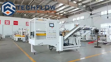 New designed Double Servo Control Faster Case Erector ｜Techflow pack automatic Case Packing Solution