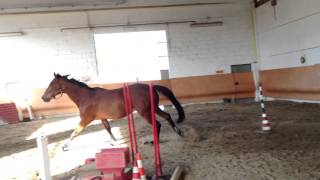 baio telecomandato screenshot 5