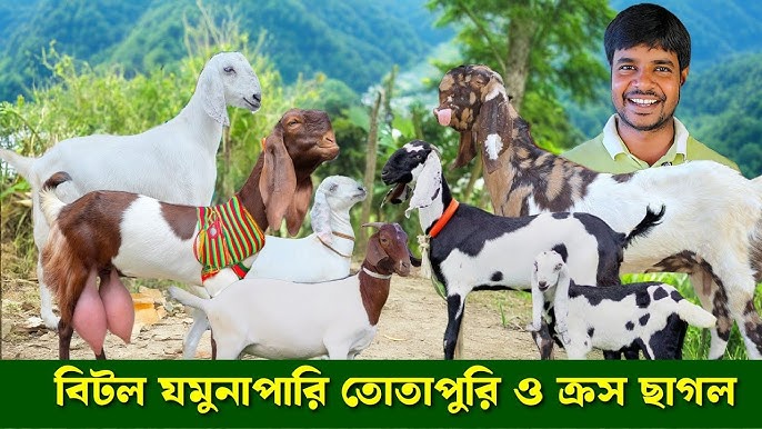 Qora tanli ayol ogziga gozal minat va cums beradi.