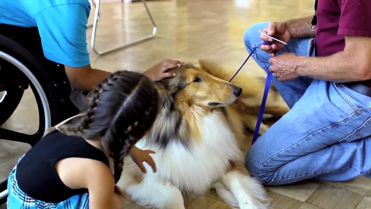 Shriners Hospitals for Children Love to the Rescue YouTube