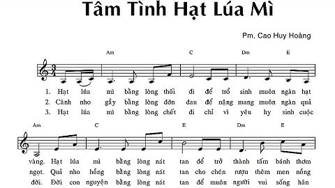 Tâm Tình Hạt Lúa Mì || Pm. Cao Huy Hoàng ( Hiệp Lễ Chúa Nhật 5 Mùa Chay Năm B )