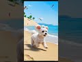 안산 담스튜디오