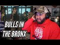 FIRST TIME HEARING - PIERCE THE VEIL "BULLS IN THE BRONX"