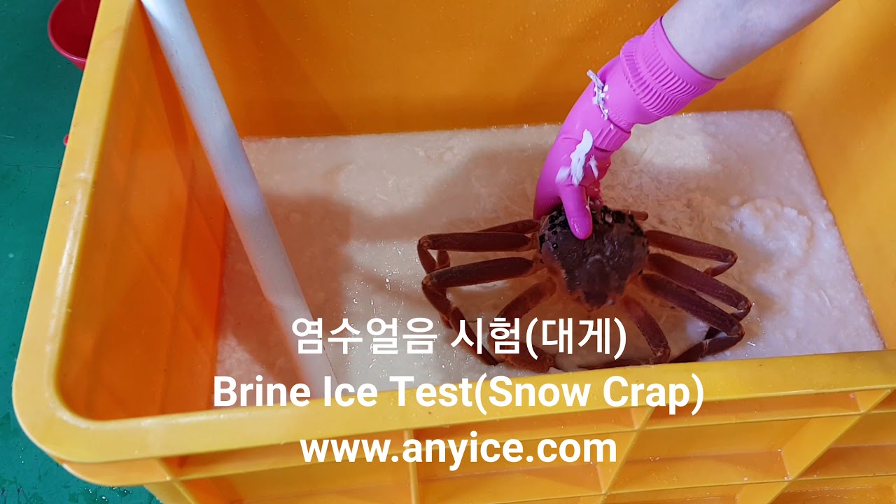 Brine Ice Test Snow Crap