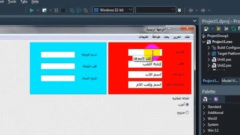 Learn programming in Delphi║2-10 Hints feature and hint text