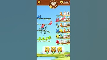 Bird Sort Game Level 135