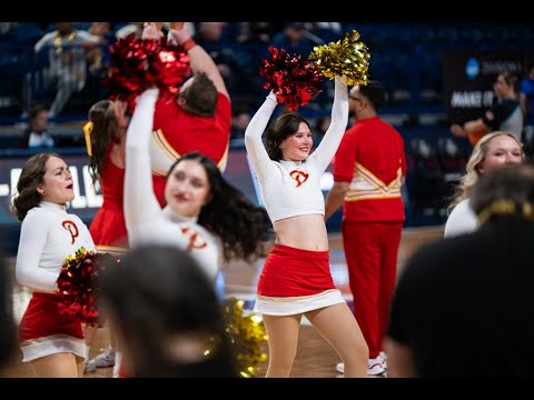 Gorillas' Elite 8