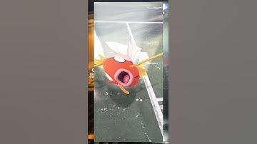 random pictures in my camera roll