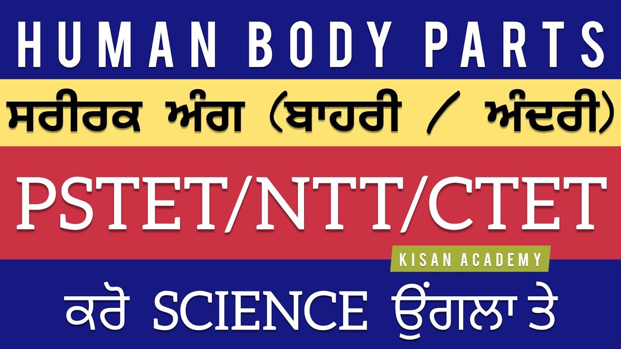 Human Body Parts || EVS for PSTET/NTT/ETT CADRE/CTET || KISAN ACADEMY for PSTET exam preparation