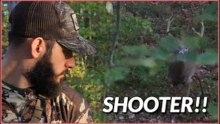 BIG PA BUCK at 29 Yards!