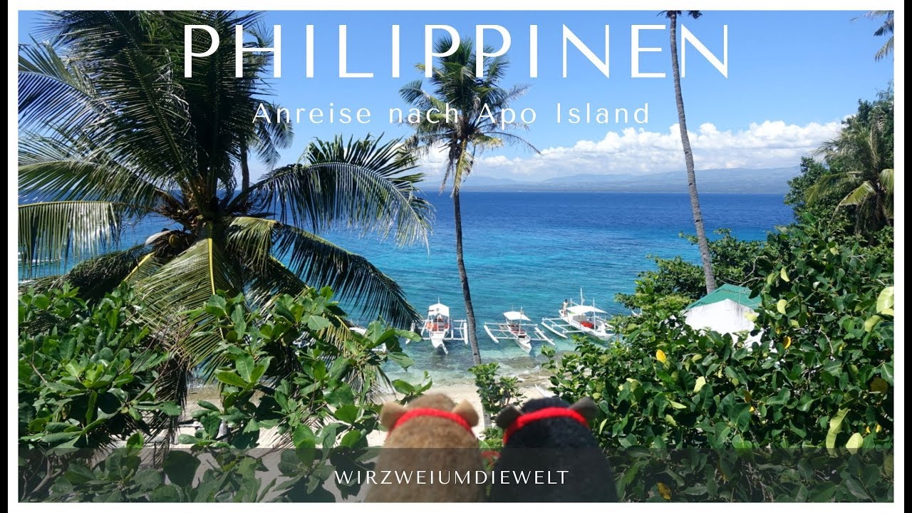 WELTREISE-VLOG#117 Anreise nach Apo Island