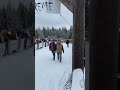 2023 Eagle Cap Extreme Sled Dog Race Start - Bino Fowler