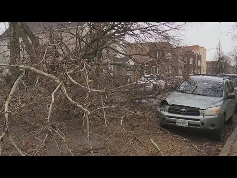 High winds damage buildings, topple trees across Chicago - YouTube