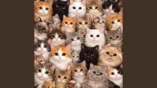 Montagem Miau - Super Slowed (Cover) - Megadrop