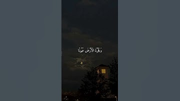 تلاوة خاشعة للشيخ #ماهر_المعيقلي #اكسبلور #قرآن #القرآن_الكريم