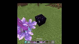 Minecraft build hack tutorial #shorts