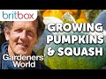 Growing Different Types of Pumpkins and Squash in One Bed Successfully | Top Tips | Gardeners' World