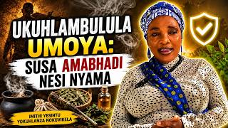 Ukuhlambulula Umoya: Susa Amabhadi nesi Nyama