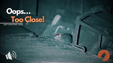 Extreme Close Shot (+18) | Rat Hunting with Night Vision