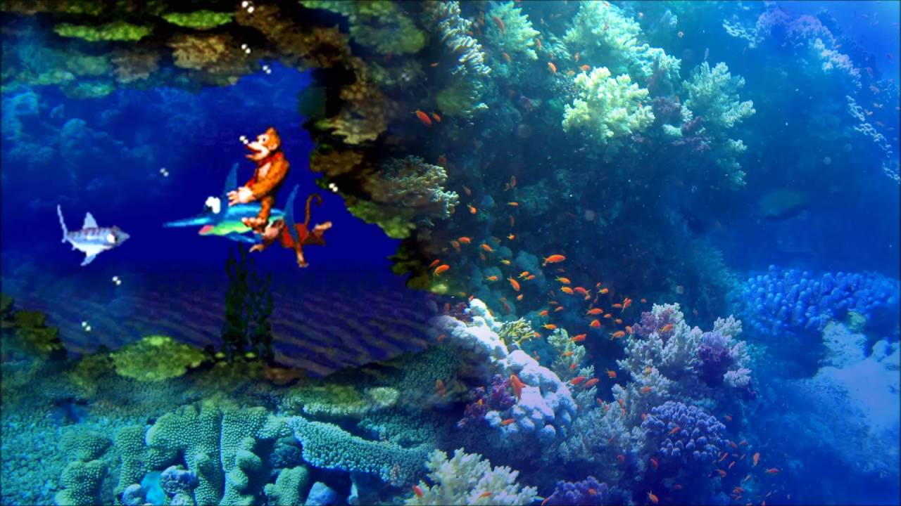 DKC "Aquatic Ambience" Orchestral Remix ft. Laura Platt - YouTube