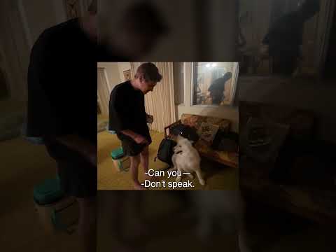 Видео: Самый Талантливый Дрессировщик Собак | LITTLE BIG - Pendejo Backstage