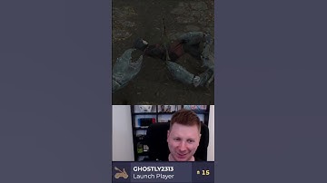 Absolut CHAOS | Skyrim [Crowd Control]