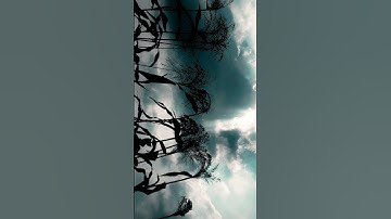 تلاوه هادئة من سوره يونس🌺#قران_كريم#لايك #دويتو#اكسبلور#راحة_نفسية#ماهر_المعيقلي #المصحف#ياسر_الدوسر