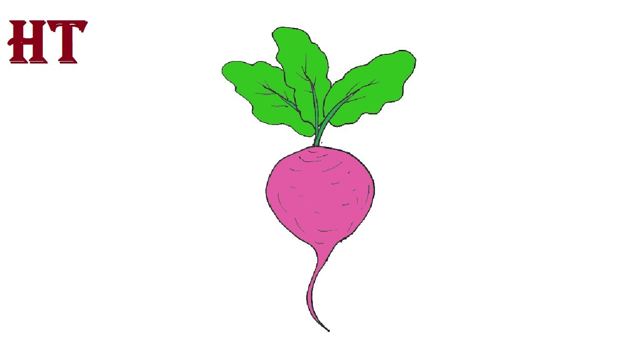 Doodle sketch turnip Royalty Free Vector Image