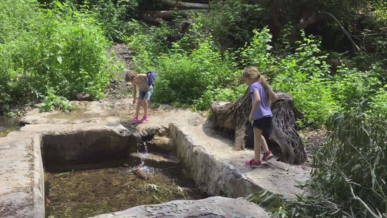 🇮🇱 The Beautiful Israel Тверия, ТубаЗангария / TubaZangariyye 🚜 JEEP