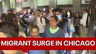Migrants flown to Chicago's O'Hare airport on private plane from Texas