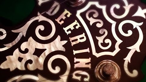 The founders of Deering are going to visit Willie