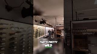 Wild & Huge, Snake Skin, and Harmless 5mm Pistol - Epic Gun Collection #kingoftheopenroad #museum