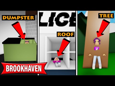 We played Hide and Seek in Brookhaven! | Roblox