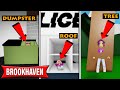 We played hide and seek in brookhaven  roblox