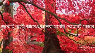 'অমরত্বের প্রত্যাশা নেই' Omorotter prottasha nei-(Lyrics) by Kabir Suman | Jaatishwar