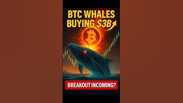 Bitcoin Whales Are Stacking Up: Is a Bull Run Coming?
