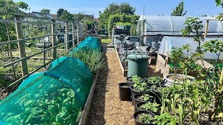 How I'm making gardening easier