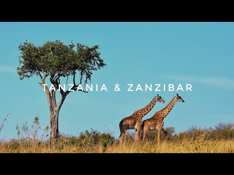 Tanzania | Zanzibar | Cinematic | Footage | Animals, People, Nature