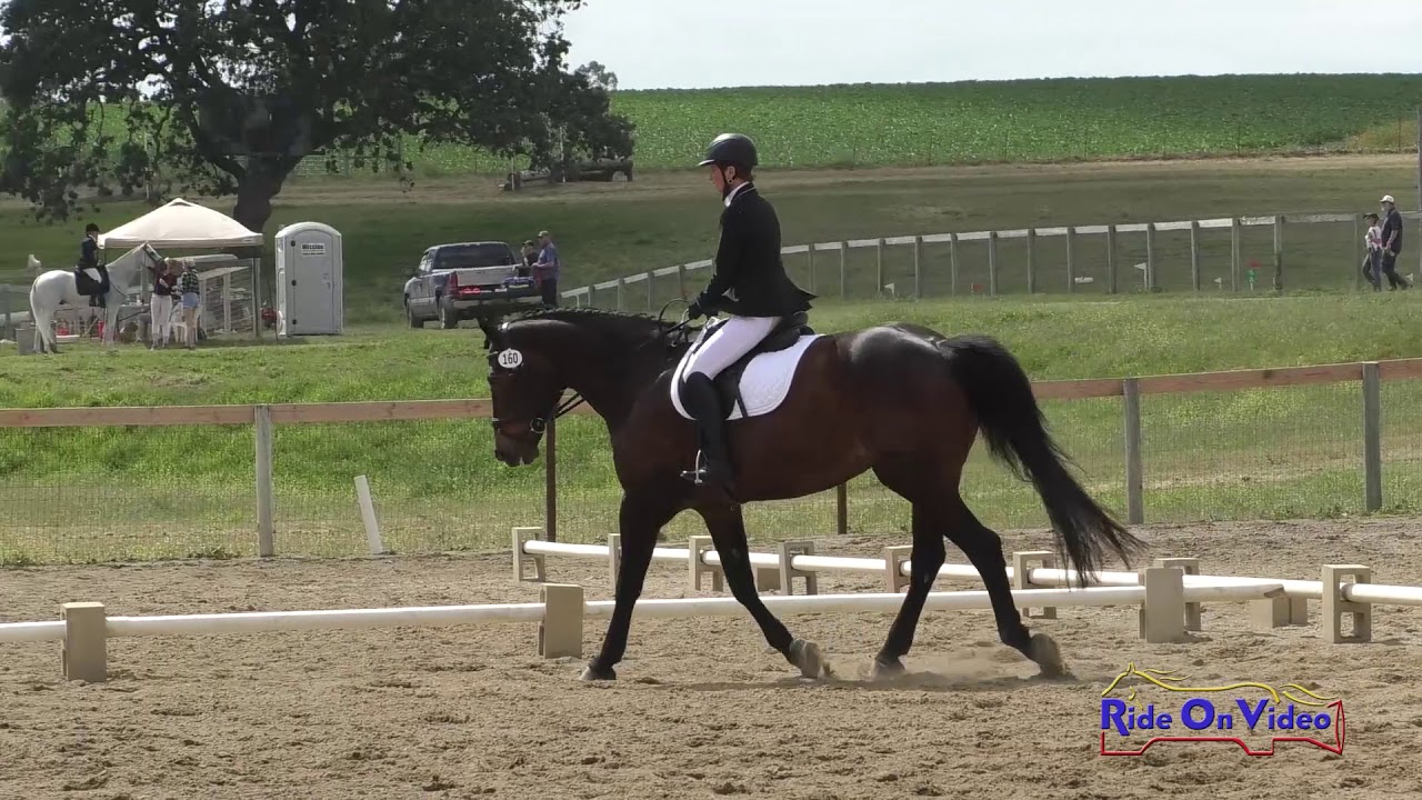 horseshoe bend 160D Forrest Fogelberg on RHR Lunar Eclipse SR Beginner Novice Dressage Shepherd Ranch June 2019