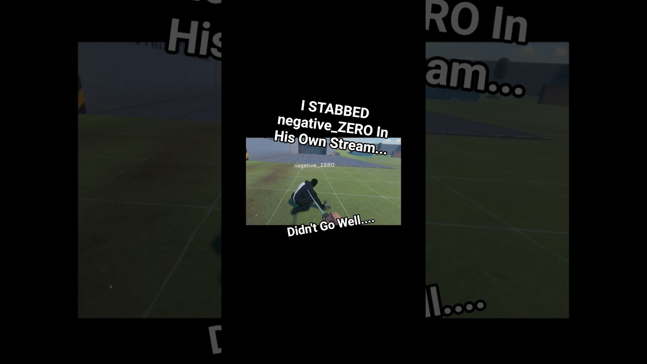 I STABBED negative_ZERO In His Own Stream.... #bonelab #vr #negative_ZERO #gaming #PCVR #steam