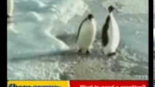 PINGUINOS.3gp