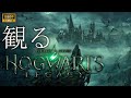 【観るゲーム】ホグワーツレガシー/日本語音声・日本語字幕