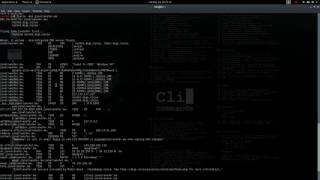 Kali linux - Information Gathering - DNS Analysis -fierce
