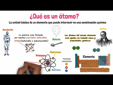 Vídeo: Què és el muntatge en histologia?