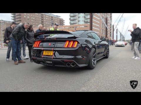 LOUD 2016 Ford Mustang Shelby GT350R REVS & More Exhaust SOUNDS!