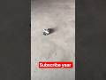 This car trick is insane 🚗 #jugaad #viral #youtubeshorts