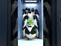 Bobo Gets Stuck in a Lift Full of Penguins! 🐧😂 | BabyBoo World #shorts