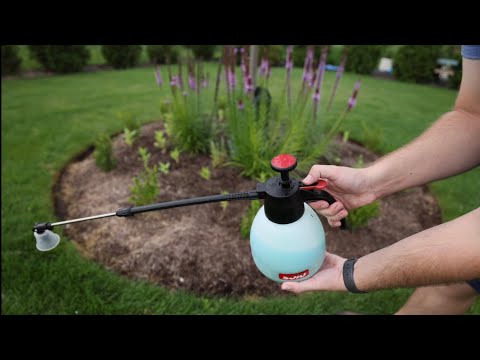 Video: Použití fungicidu na měď: Kdy použít fungicid na měď v zahradě