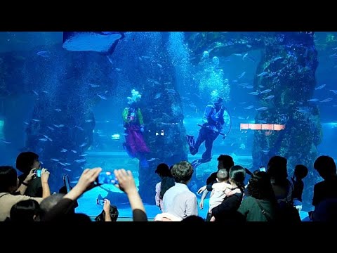 ������ ������ ������� ������� ���� ����� ������� ���� ��� ����� �� ����
 - نشر قبل 7 دقيقة