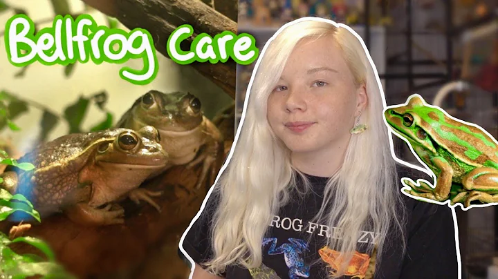How to Care for Bell Frogs! (Updated Care Guide)